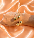 SANA629